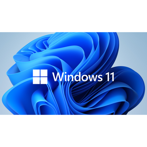 [FQC-10556] Microsoft Windows 11 Pro FQC-10556 64 Bit (OEM) Türkçe