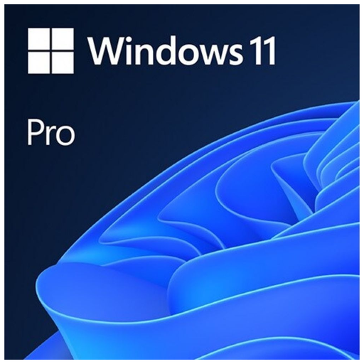[FQC-10572] Microsoft Windows 11 Pro 32/64 Bit TR-ING ESD Elektronik Lisans (FQC-10572)